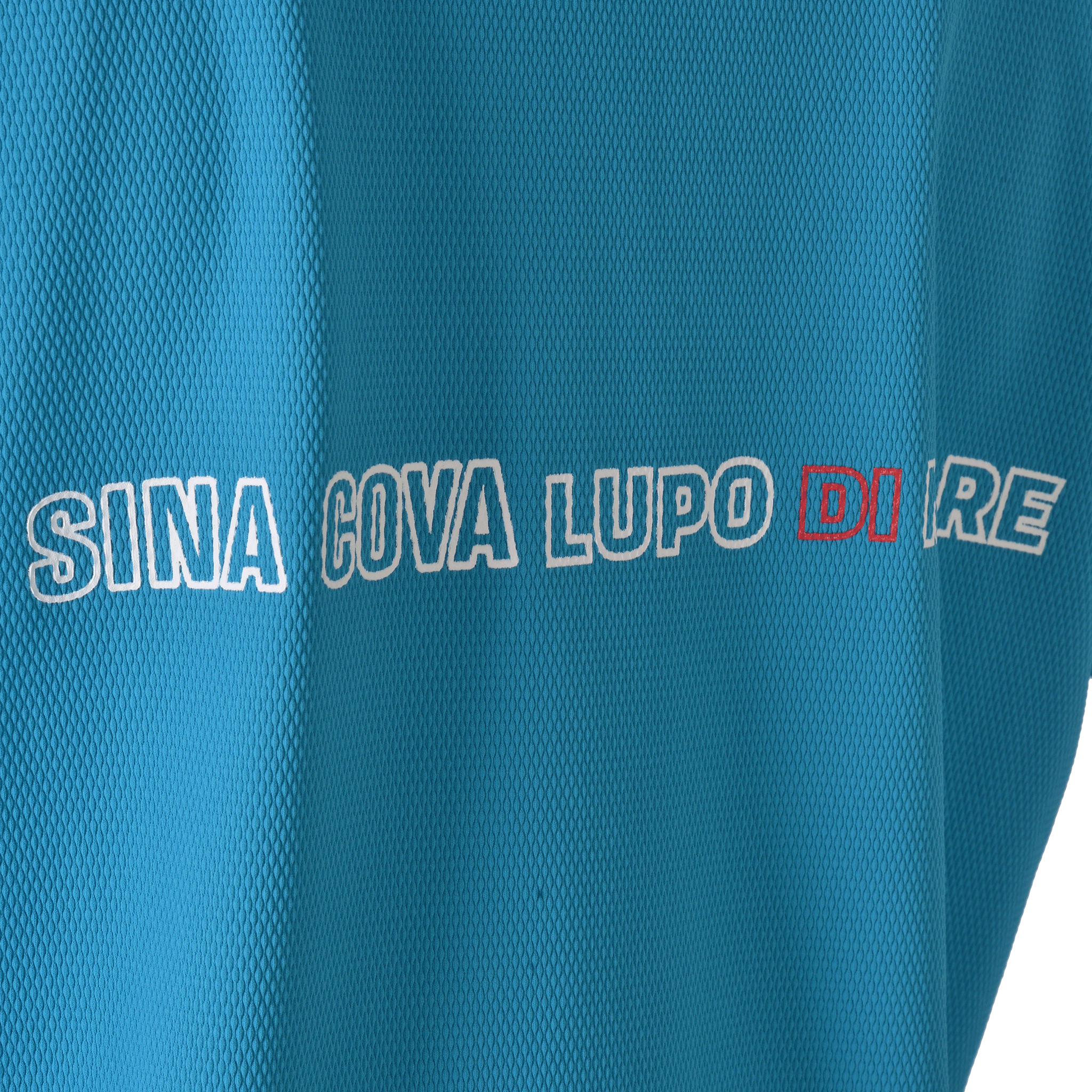 【公式】シナコバ (SINA COVA)ハイネックTシャツ(バックプリント) 25150520