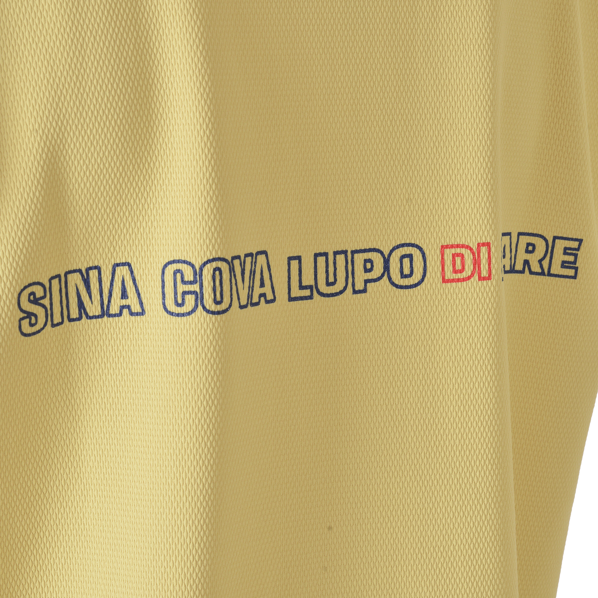 【公式】シナコバ (SINA COVA)ハイネックTシャツ(バックプリント) 25150520