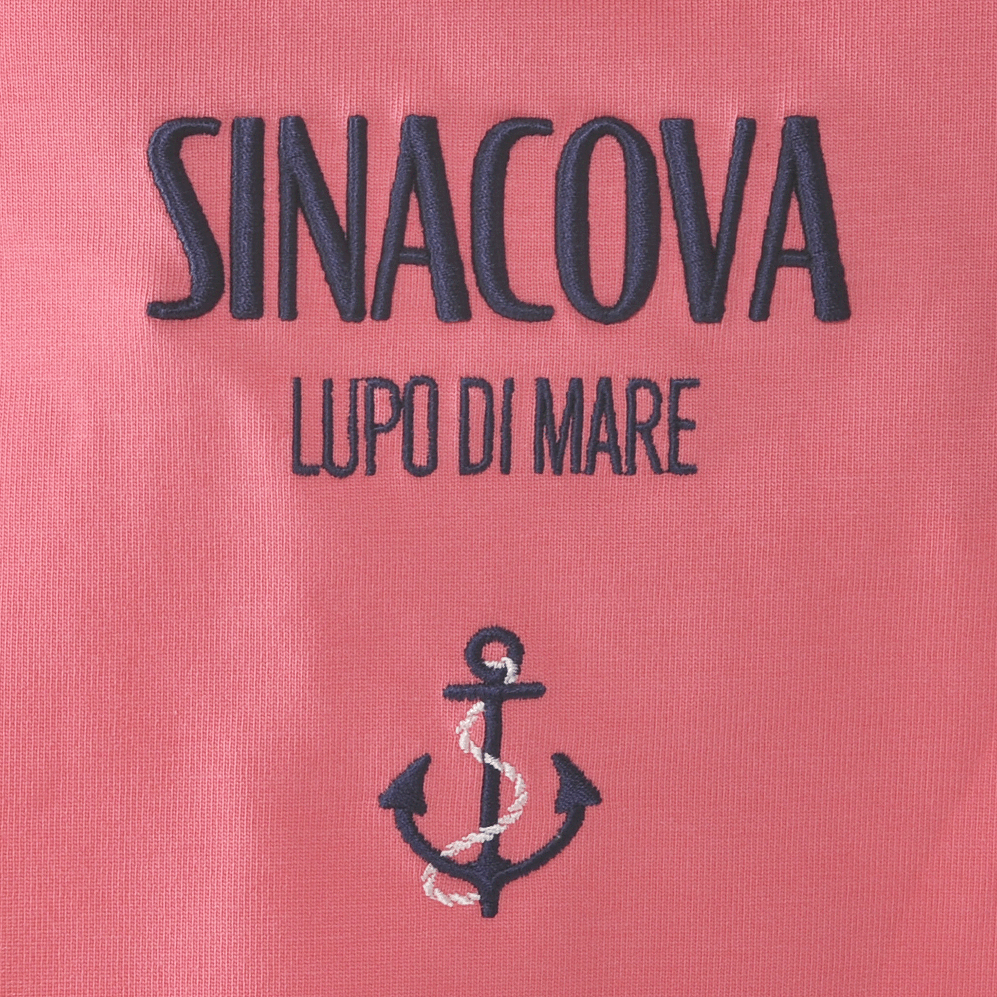 【官方】SINA COVA 短袖T卹,男女通用,尺寸S-LL,商品編號:23110550