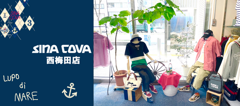 【新品】シナコバ　SINA COVA、カッコいい綿セーター、L、イエロー、黄 直営店紹介】SINA COVA 西梅田店 その1