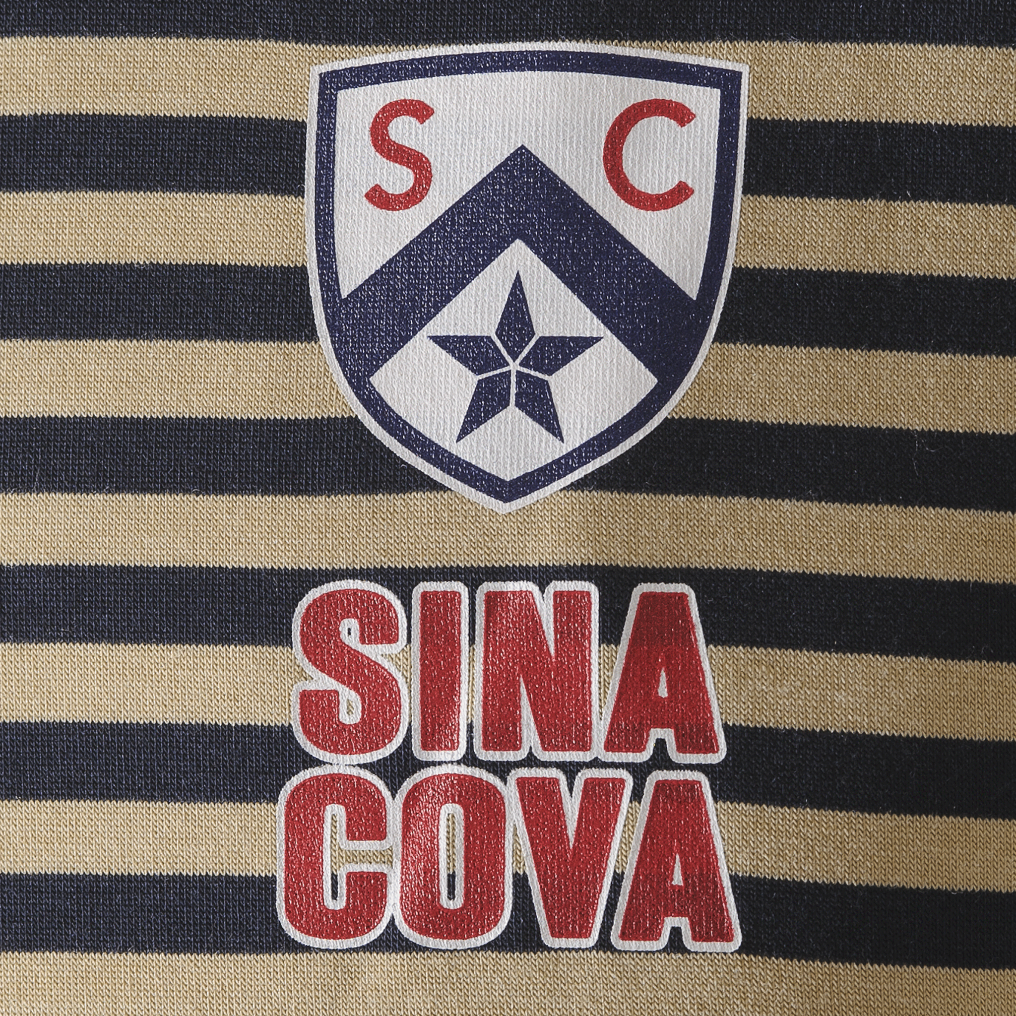 [官方] SINA COVA 條紋高領長袖T卹，男女通用（23250020）