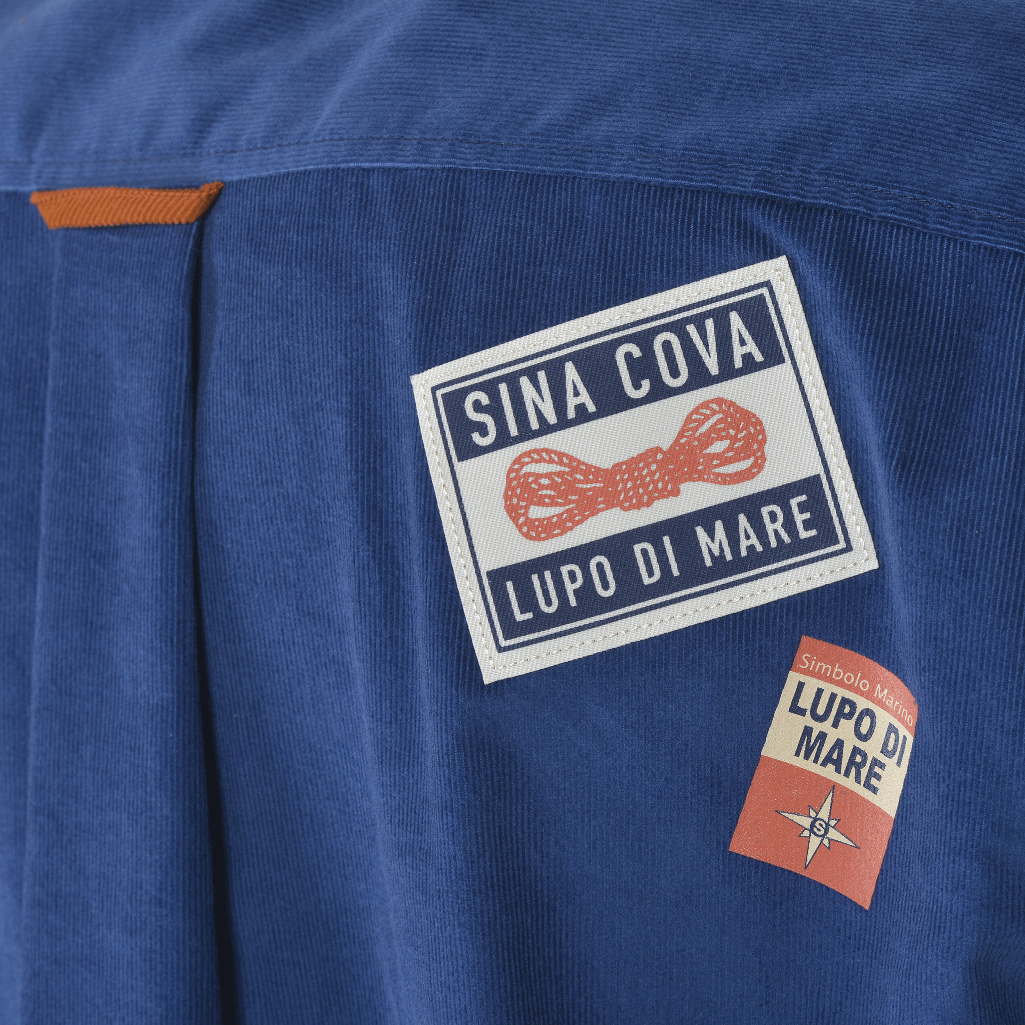 [Official] SINA COVA long sleeve button down shirt 24224050