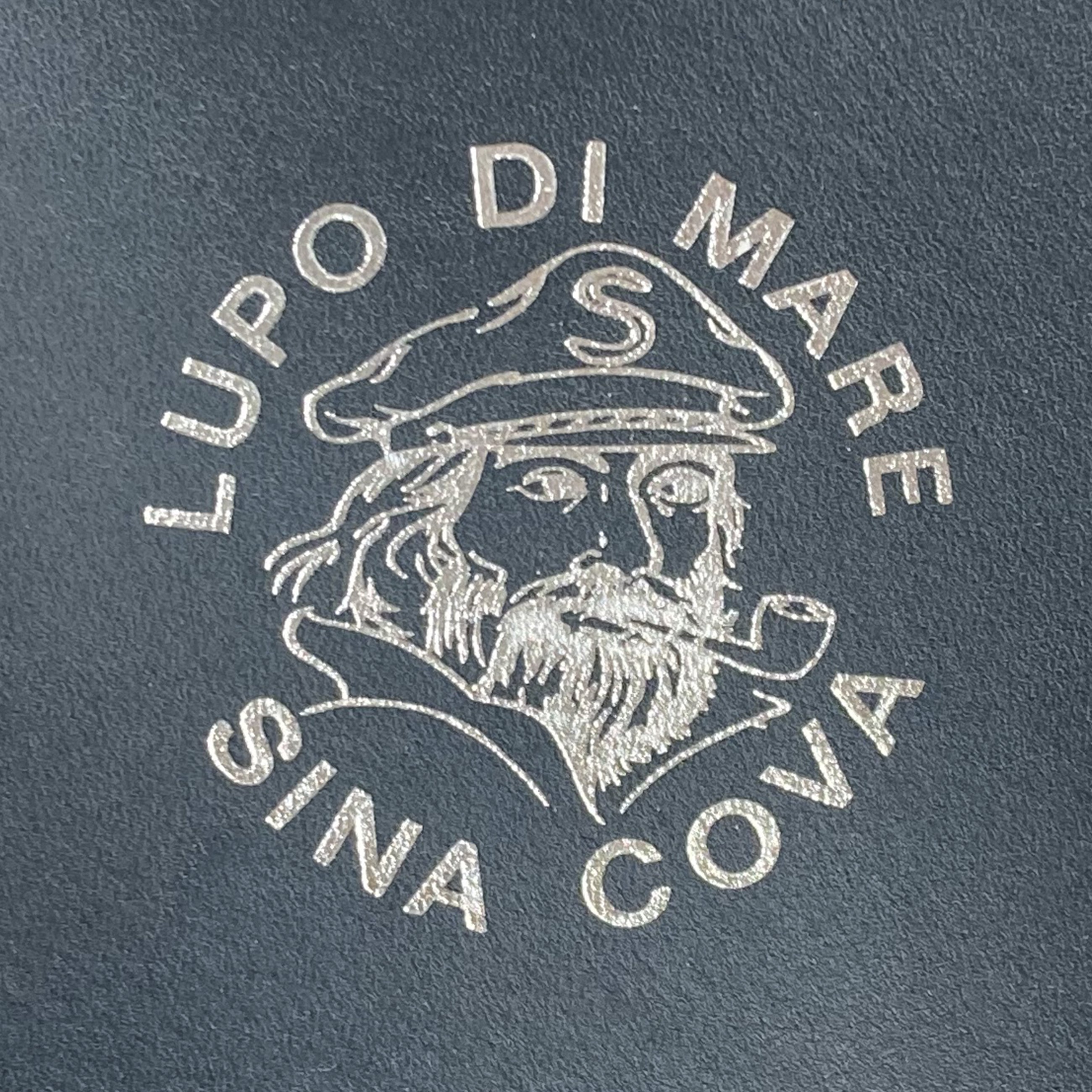 アイグラスレザーケース 25276810