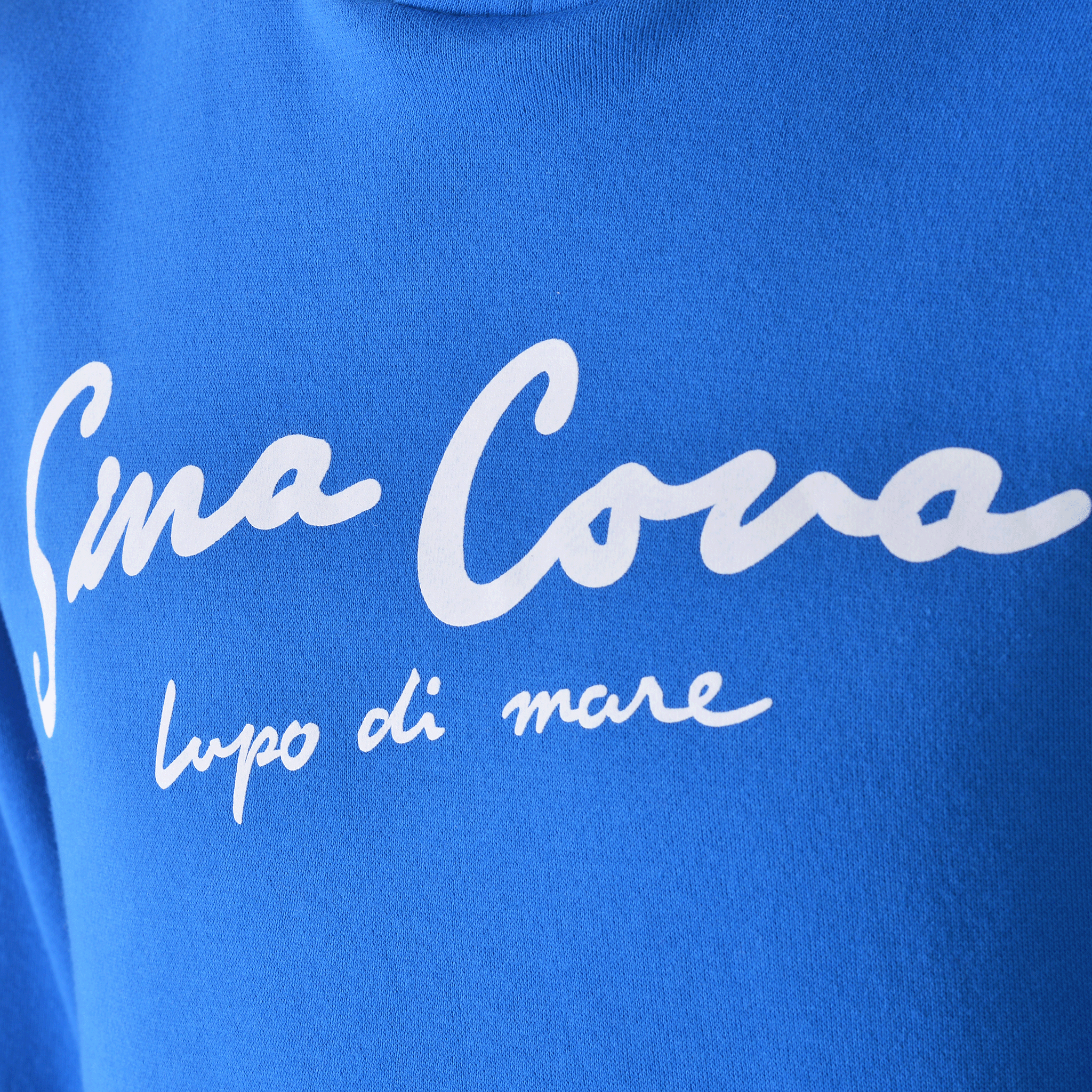 [官方] SINA COVA 特大號連帽套頭衫 24210066