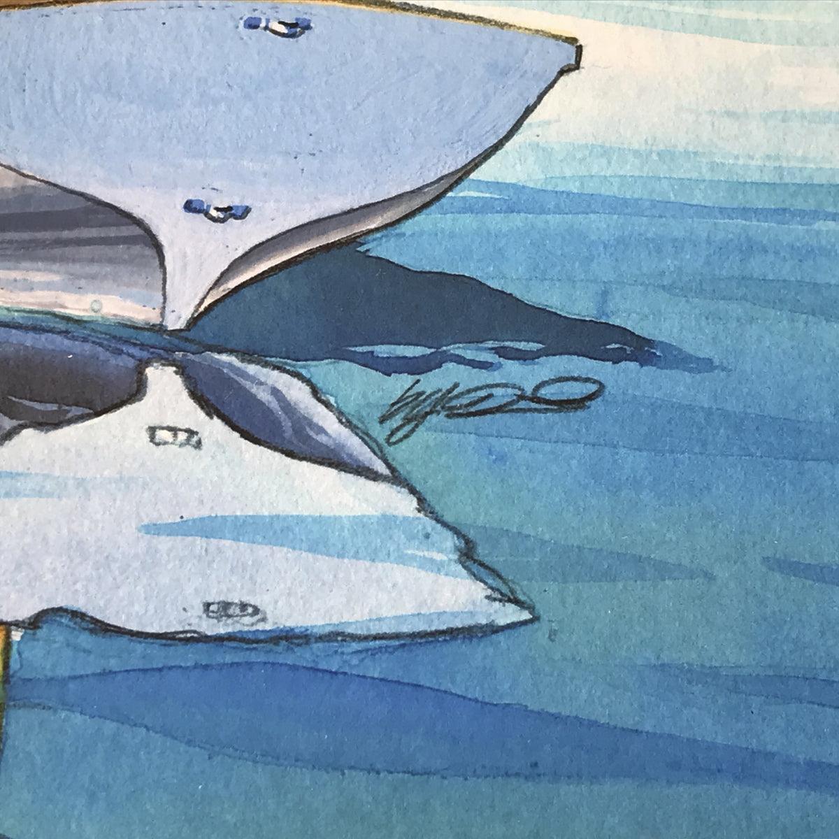 Tadami 『White Dinghy』 57000200